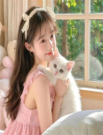 《台湾奇案》的艺术教科书式的：美学价值与创作技巧探讨，未删减版